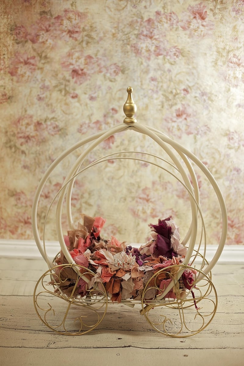 Dreamy Backdrops