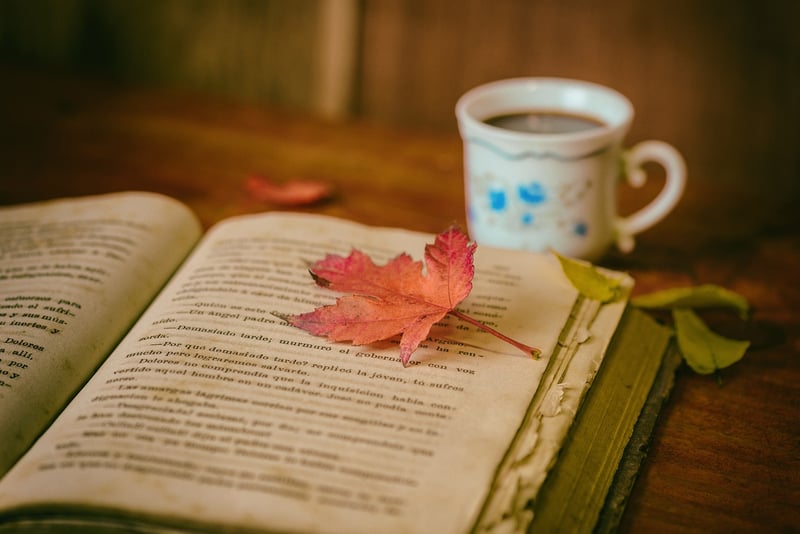 Fable Books Bookmark Set